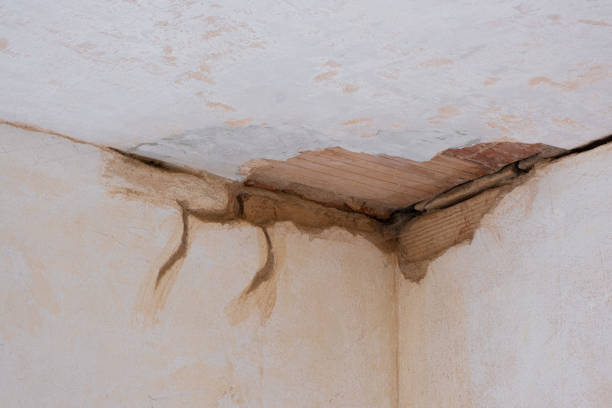 Best Commercial water damage restoration  in Hazel Green, AL