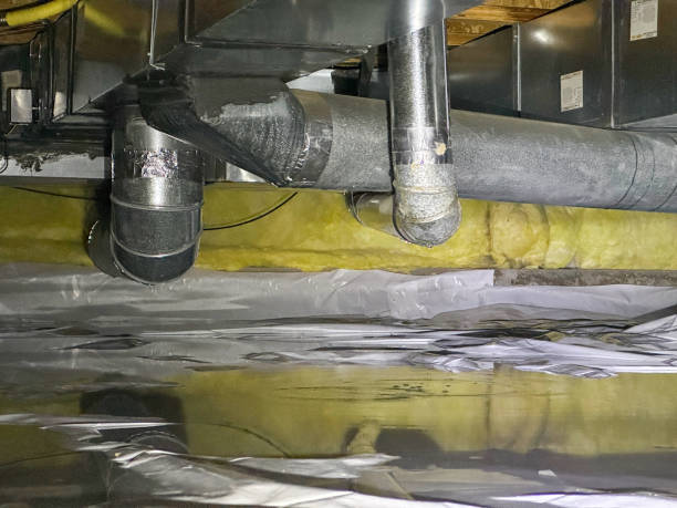Best Water damage restoration near me  in Hazel Green, AL